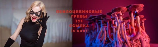 mdpv Богородицк