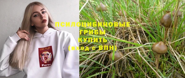 mdpv Богородицк