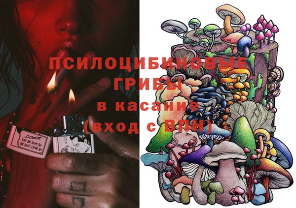 ПСИЛОЦИБИНОВЫЕ ГРИБЫ Богородск