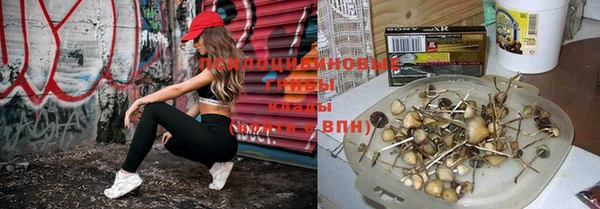 амфетамин Богданович