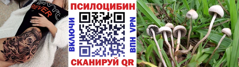 Псилоцибиновые грибы GOLDEN TEACHER  Няндома 